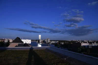 DSC_1776 (Large).JPG